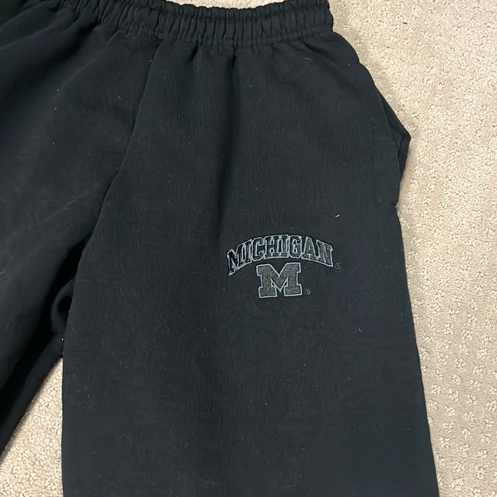 Michigan State Sweatpants/Jogger